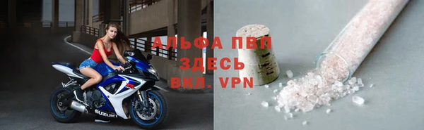 молекула духа Арсеньев