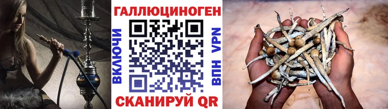 Псилоцибиновые грибы MAGIC MUSHROOMS  Костерёво 